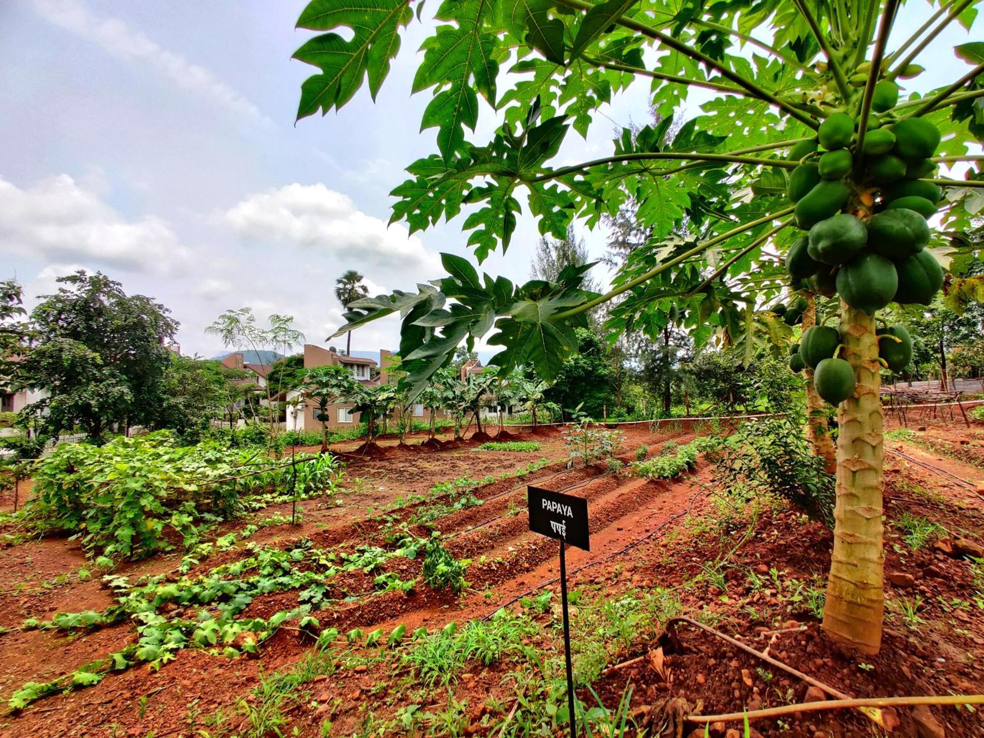 Pushpam Sanskruti Resort Karjat - A Pure Veg Resort Dhamni Екстер'єр фото